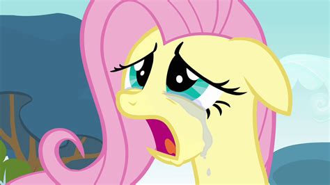 my little pony flutter shy|my little pony fluttershy crying.